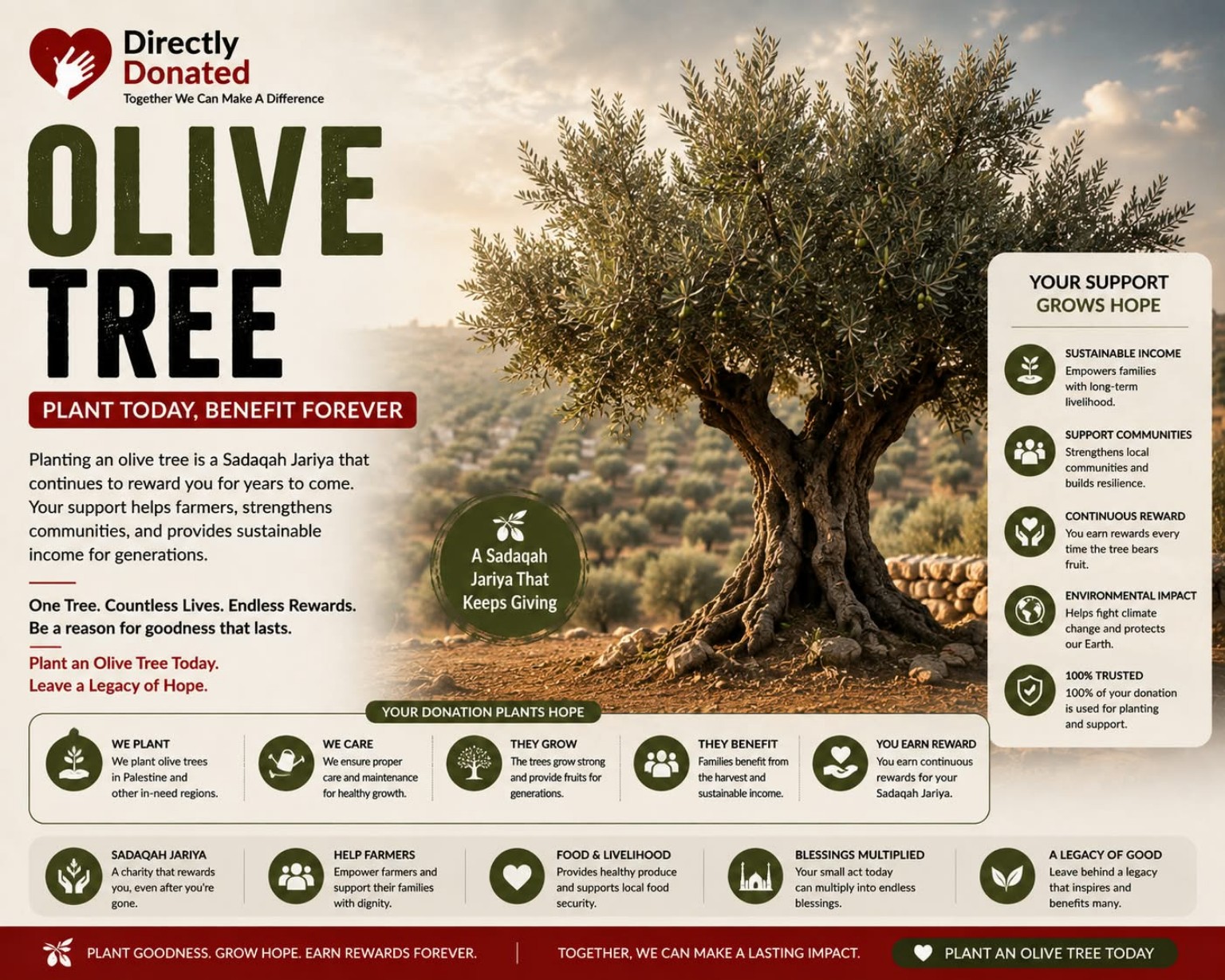 Olive Tree Campaign